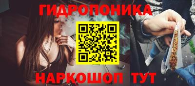 индика Мариинск
